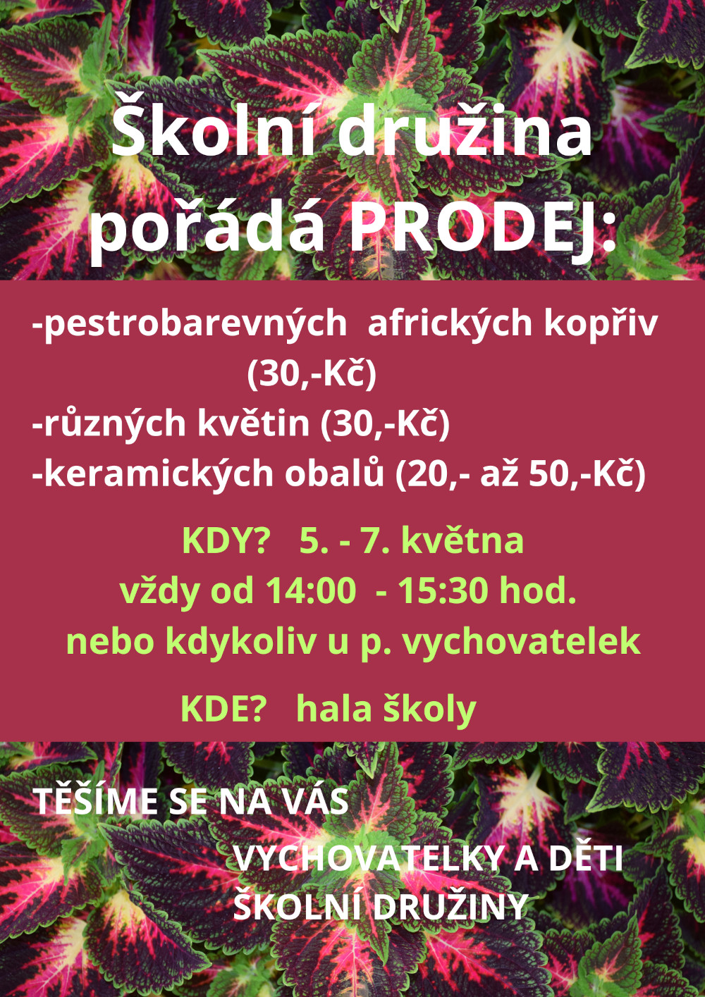 Plakát